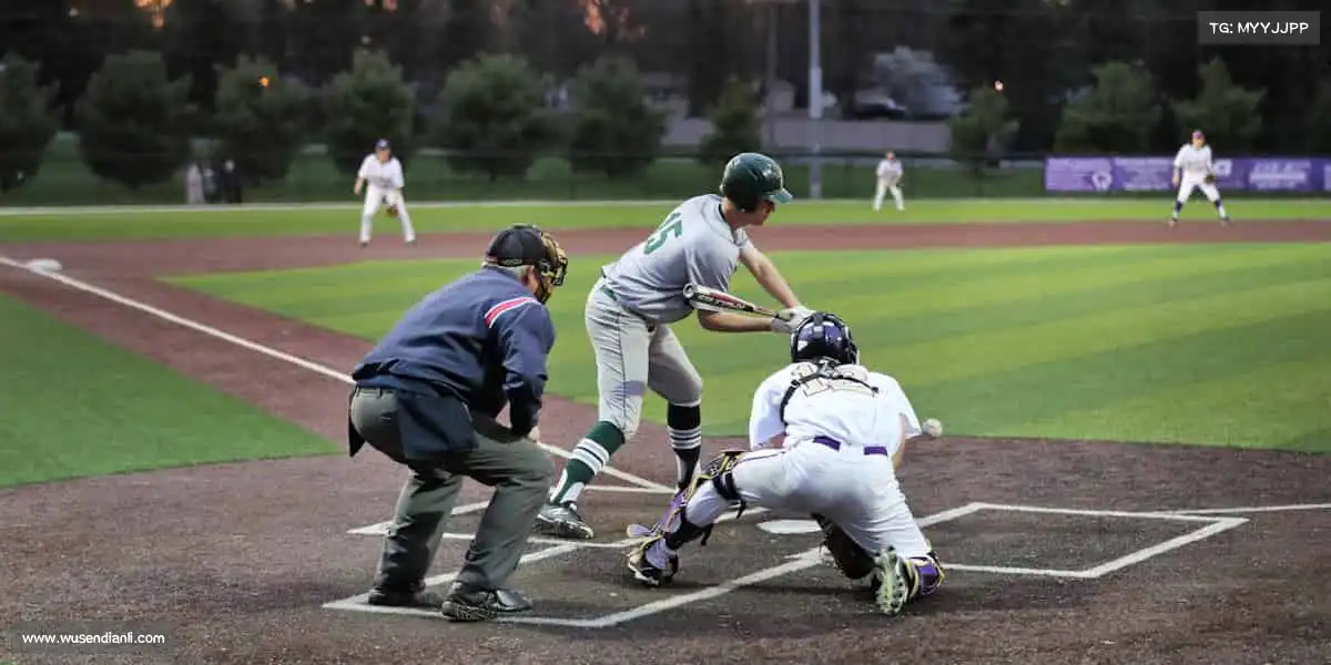 为什么选择我们